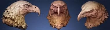 3D model Bald Eagle Head (STL)